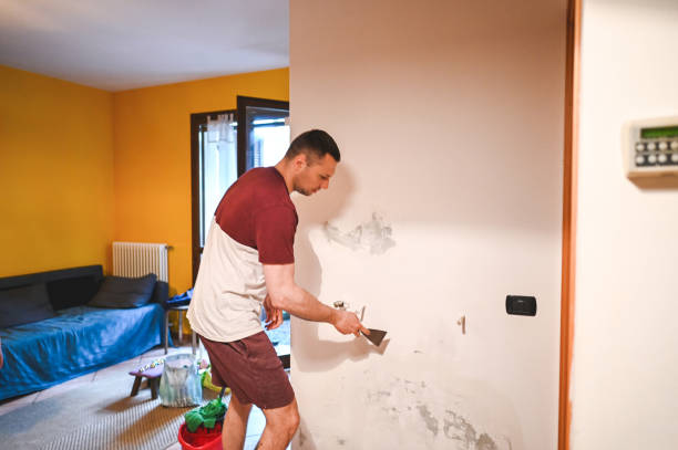 Best Black Mold Removal  in Ridge Wood Heights, FL